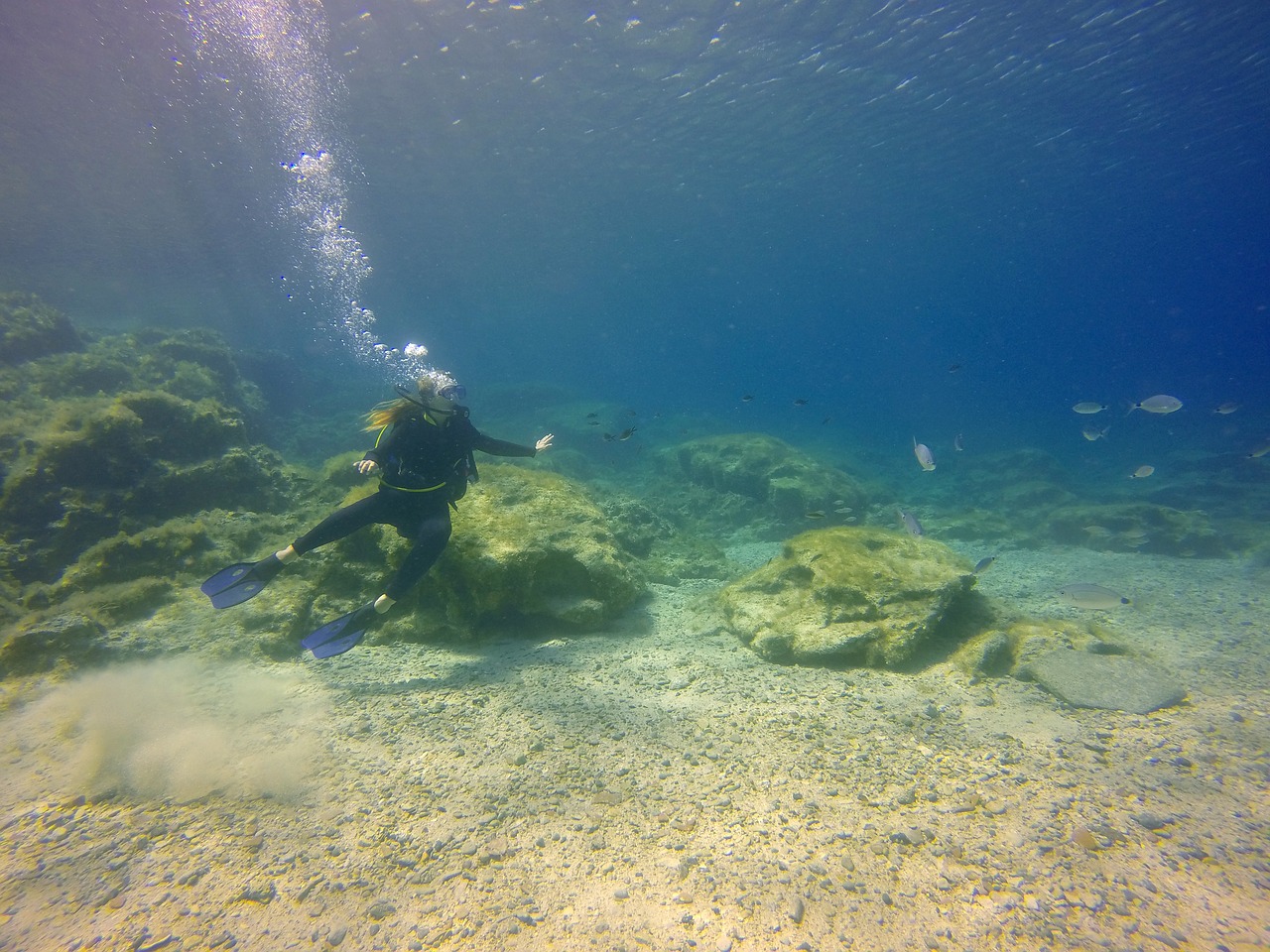 diving girl underwater free photo