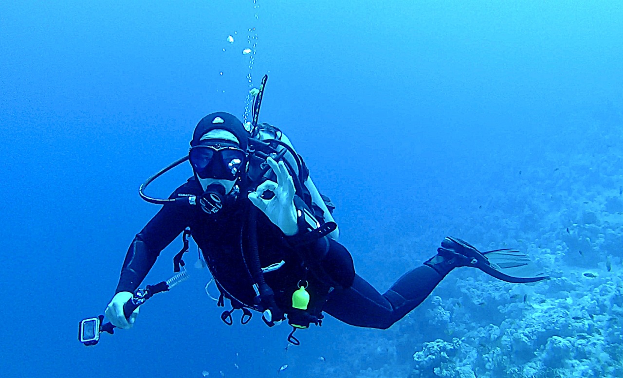 diving underwater divers free photo