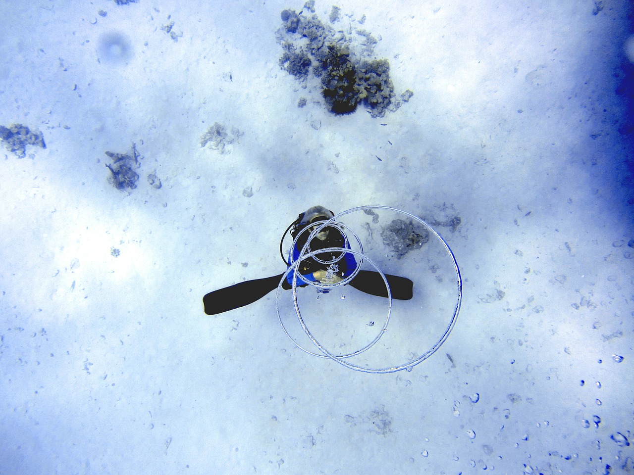 diving sea ozan free photo