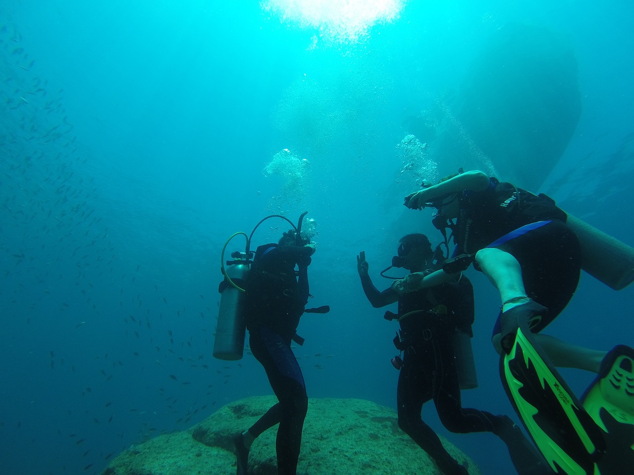diving scuba sea free photo