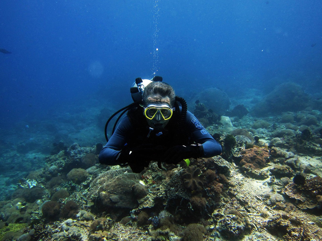 diving diver scuba diving free photo