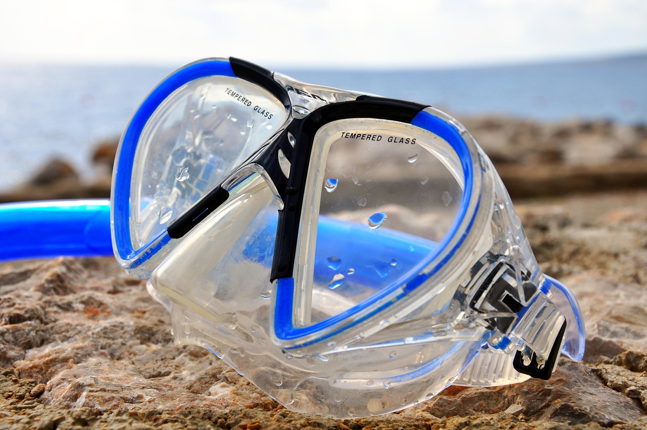 diving  diving mask  water free photo