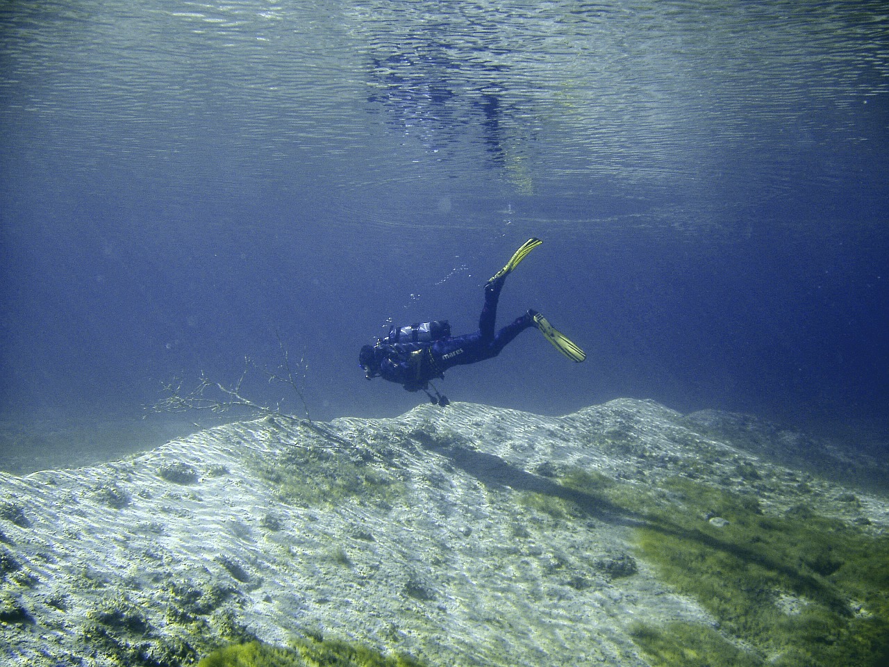 diving underwater water free photo