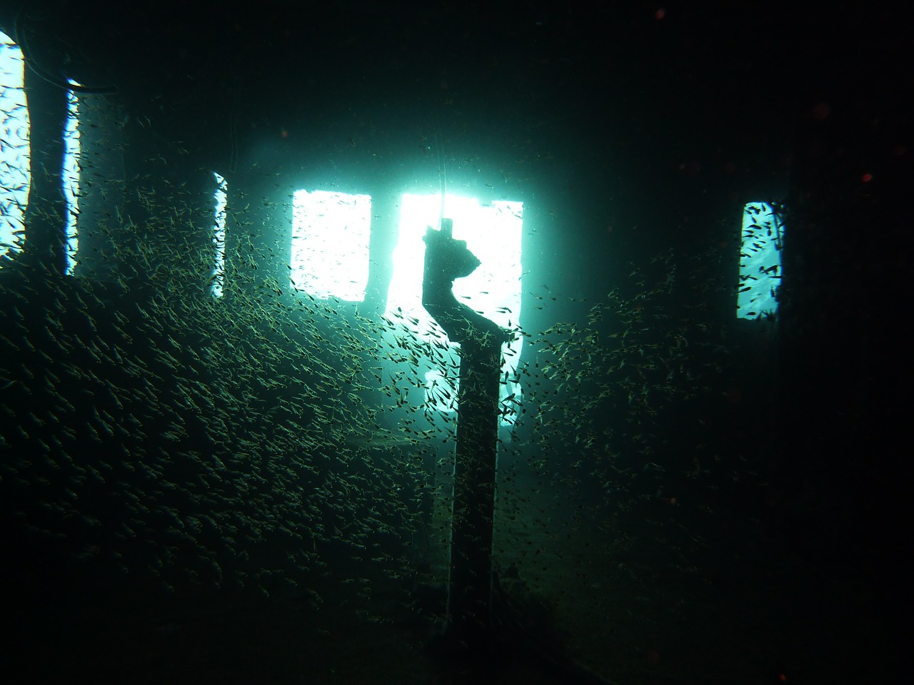 diving wreck underwater free photo