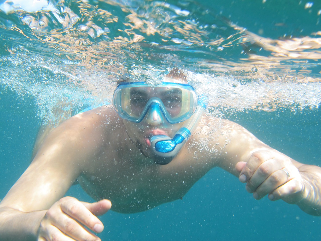 diving snorkeling sea free photo