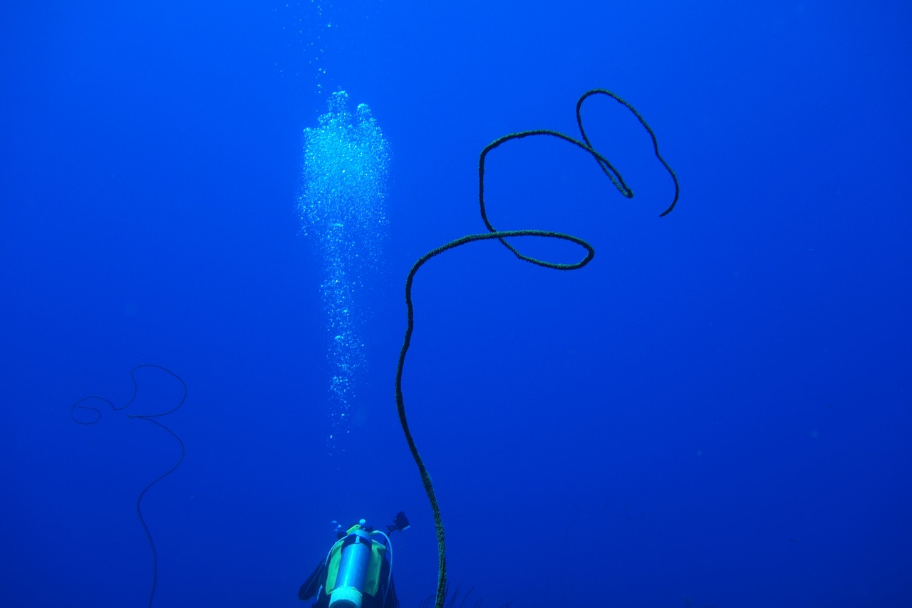 diving bubble green island free photo