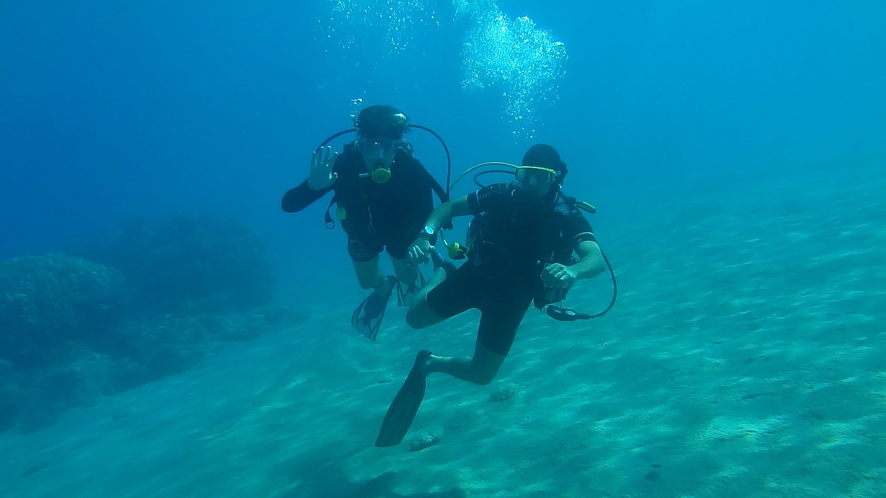 diving sea underwater free photo