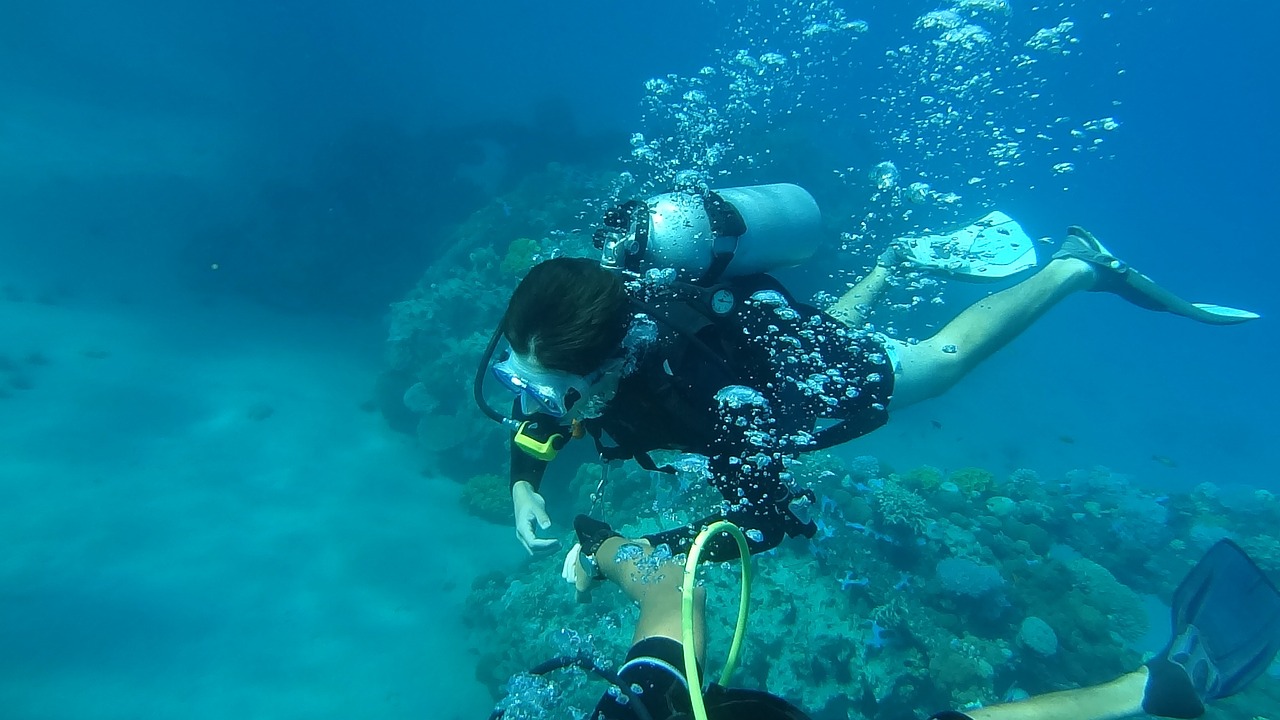 diving sea underwater free photo