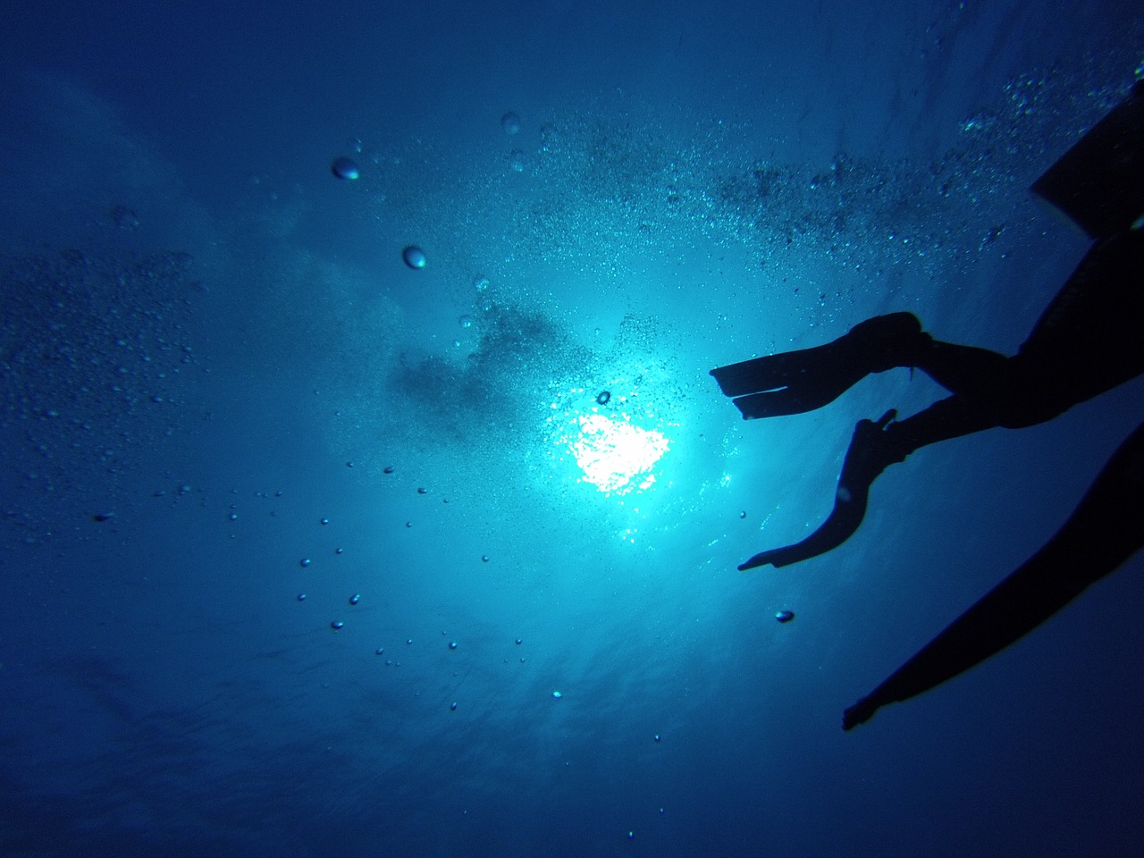 diving flippers swim free photo