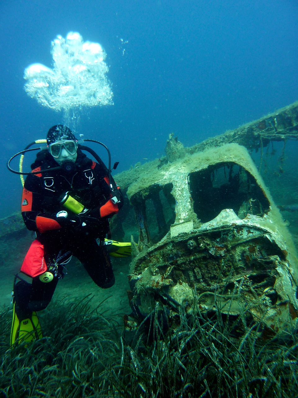 diving underwater dive free photo