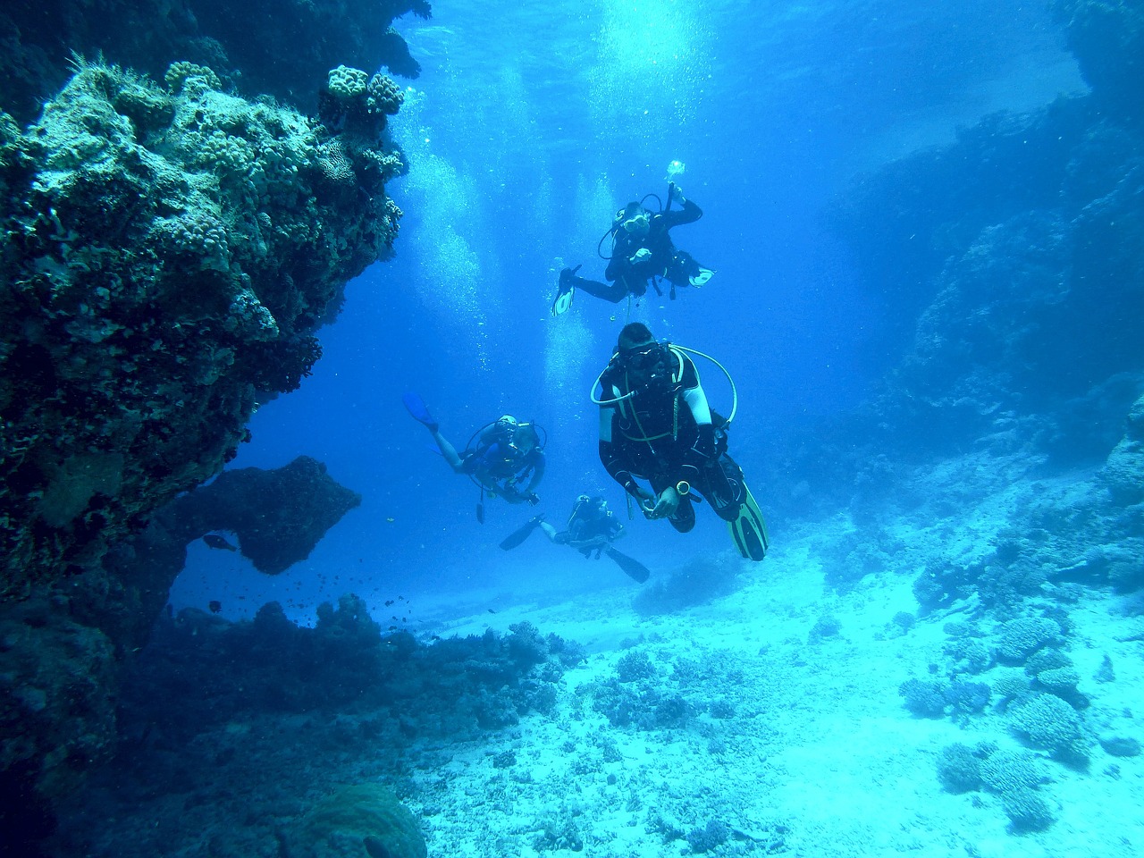 diving underwater sea free photo