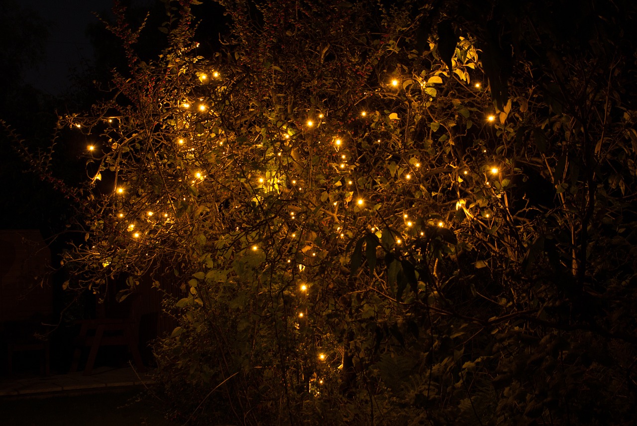 diwali lights winter free photo