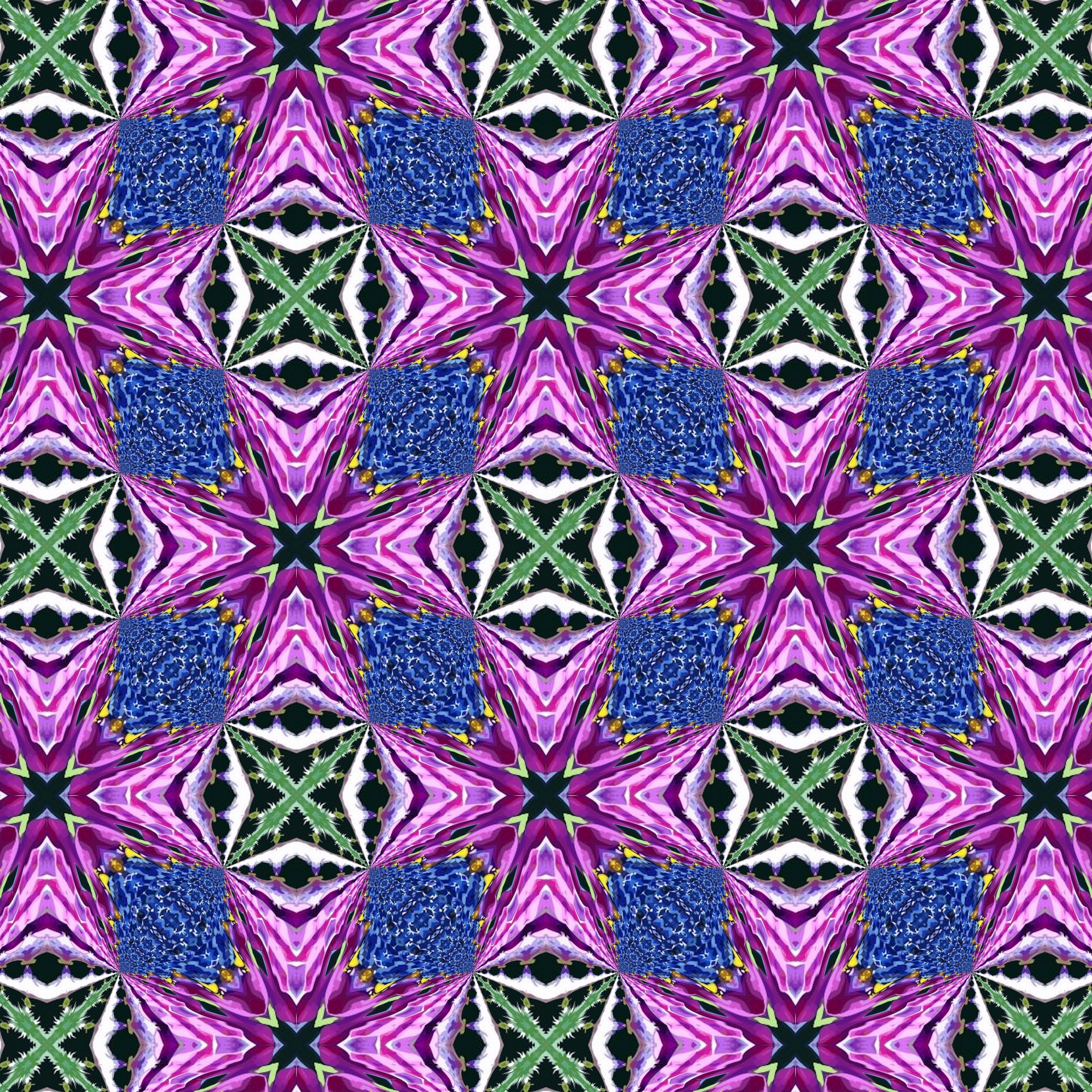 dizzy daisy pattern free photo