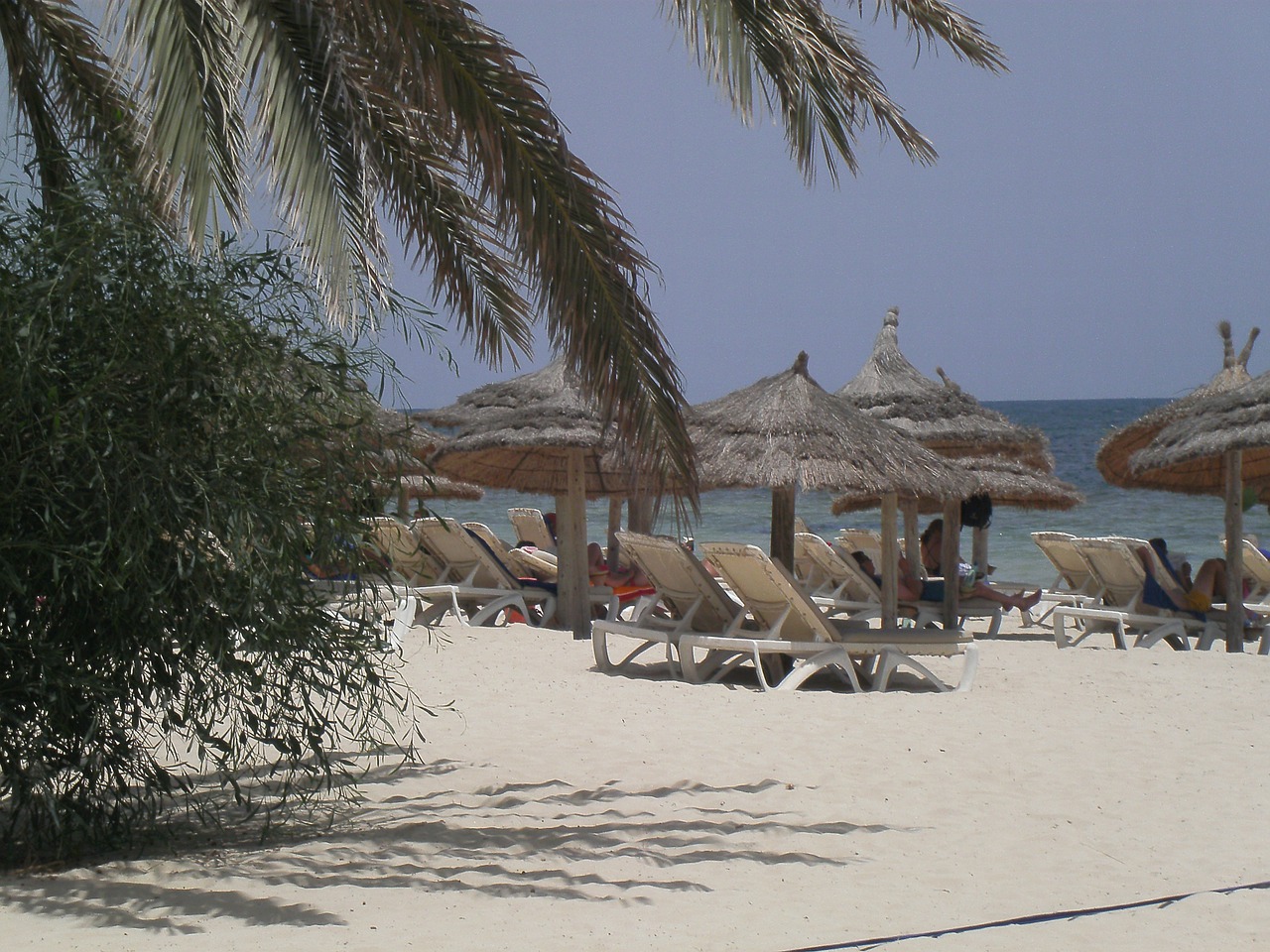 djerba holiday beach free photo