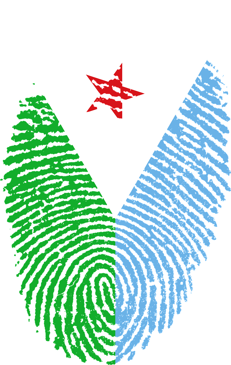 djibouti flag fingerprint free photo
