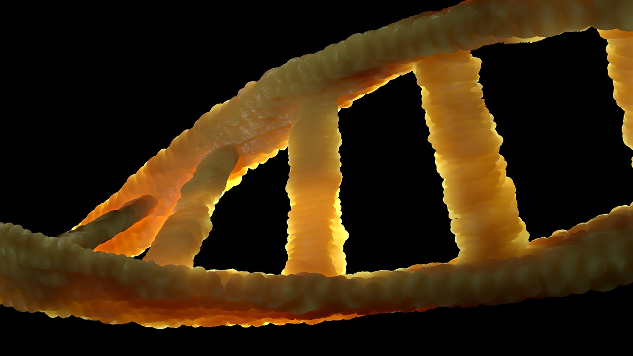 dna dns biology free photo