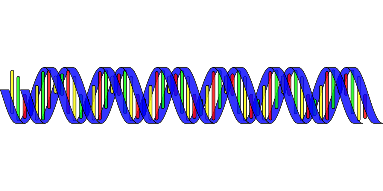 dna double helix science free photo