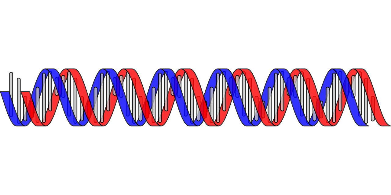 dna science biology free photo