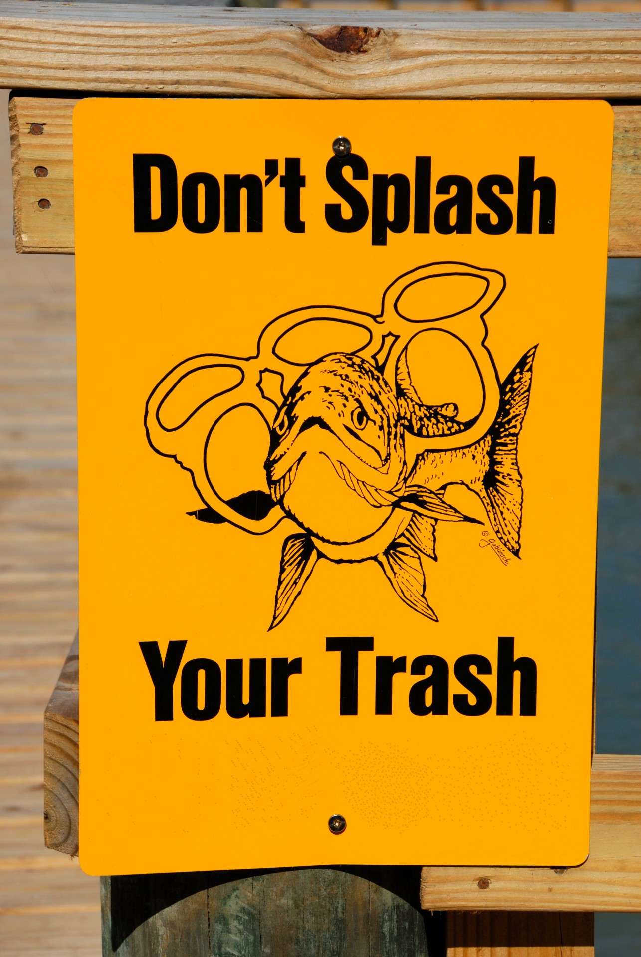 don't trash environmental warning free photo
