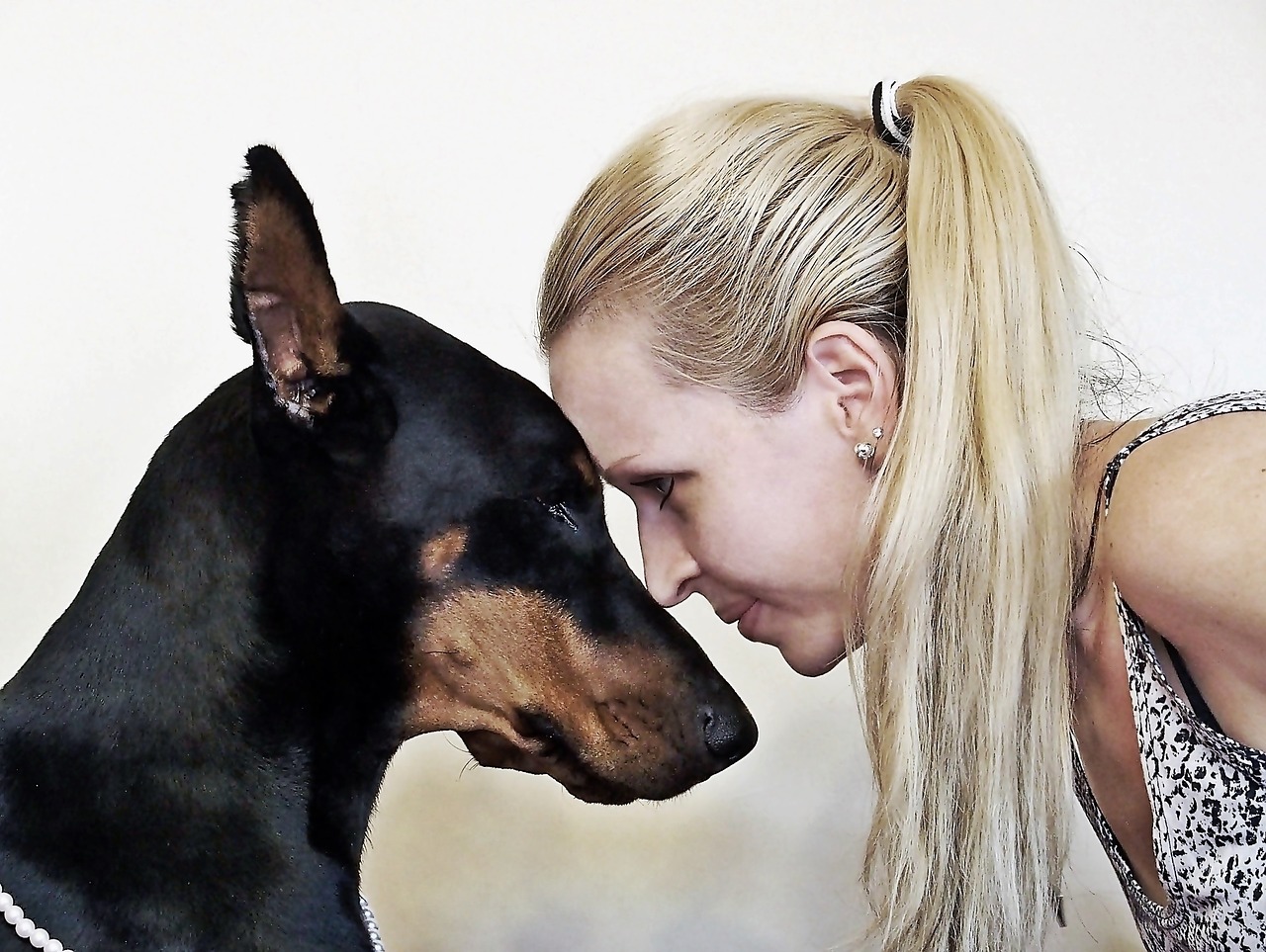 doberman blonde woman friendship free photo