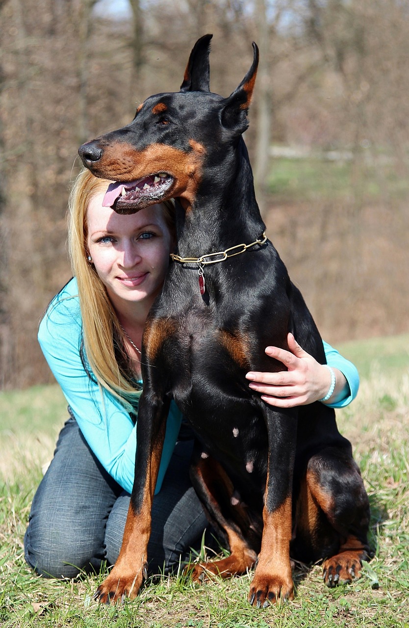 doberman dog blonde woman free photo