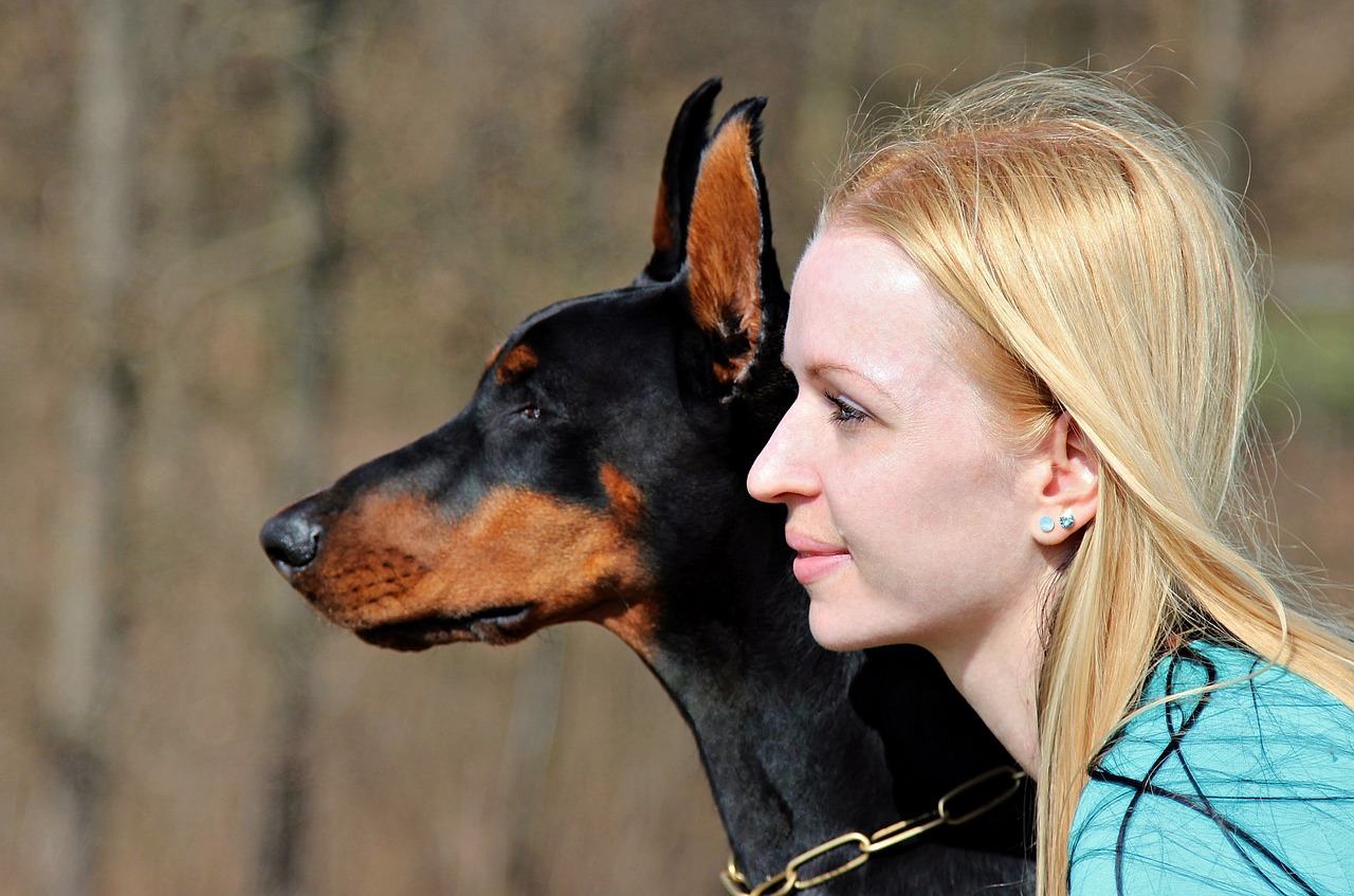 Doberman,dog,blonde woman,facial,portrait - free image from needpix.com