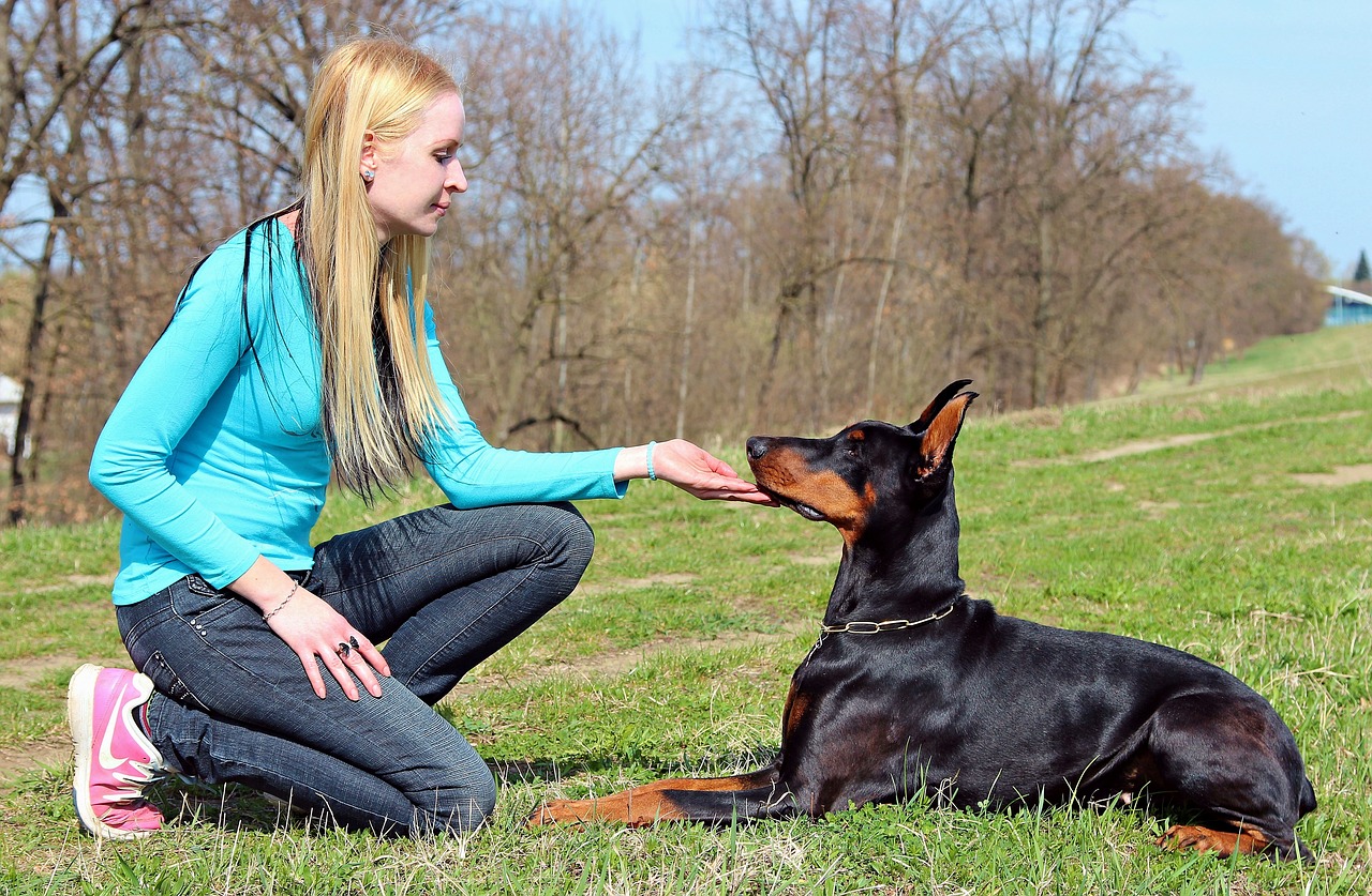 doberman blonde girl love free photo