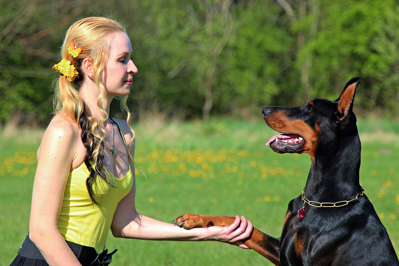 doberman blonde woman friendship free photo