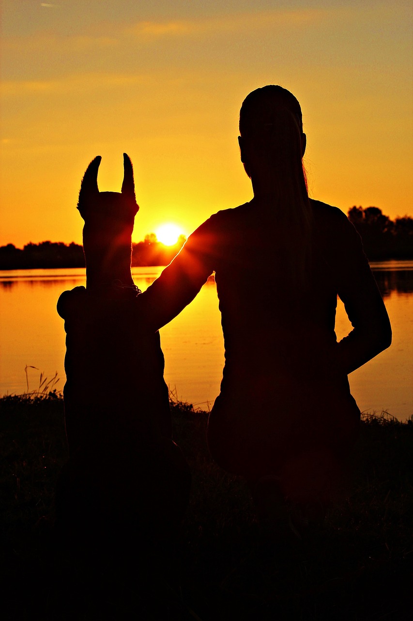 doberman woman silhouette free photo