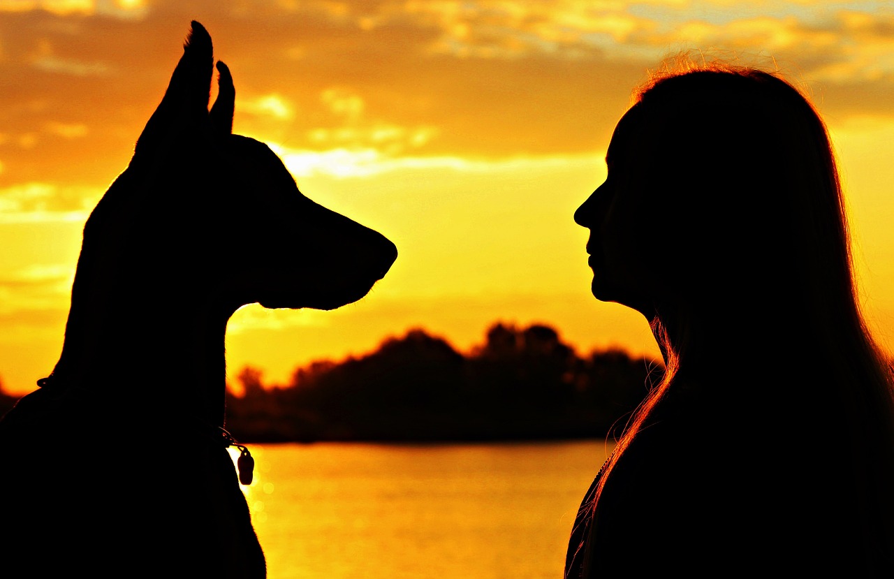 doberman woman silhouette free photo