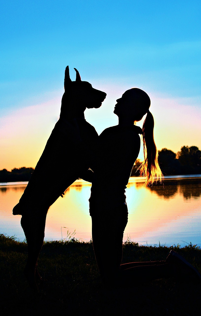 doberman woman silhouette free photo