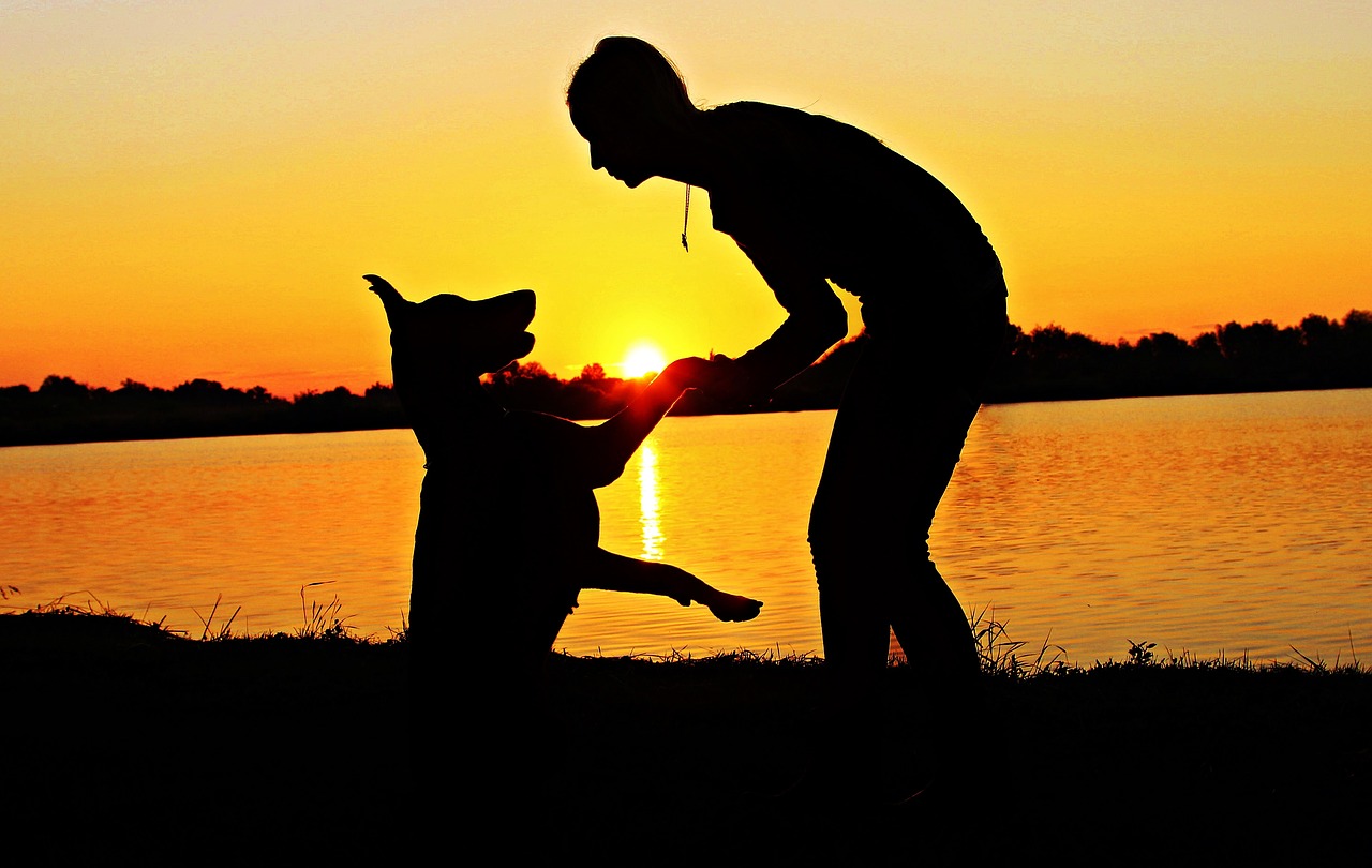 doberman woman silhouette free photo