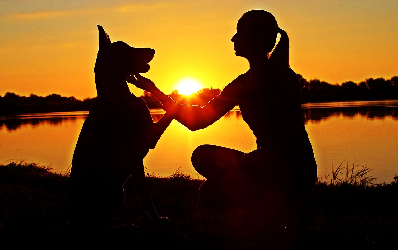 doberman woman silhouette free photo