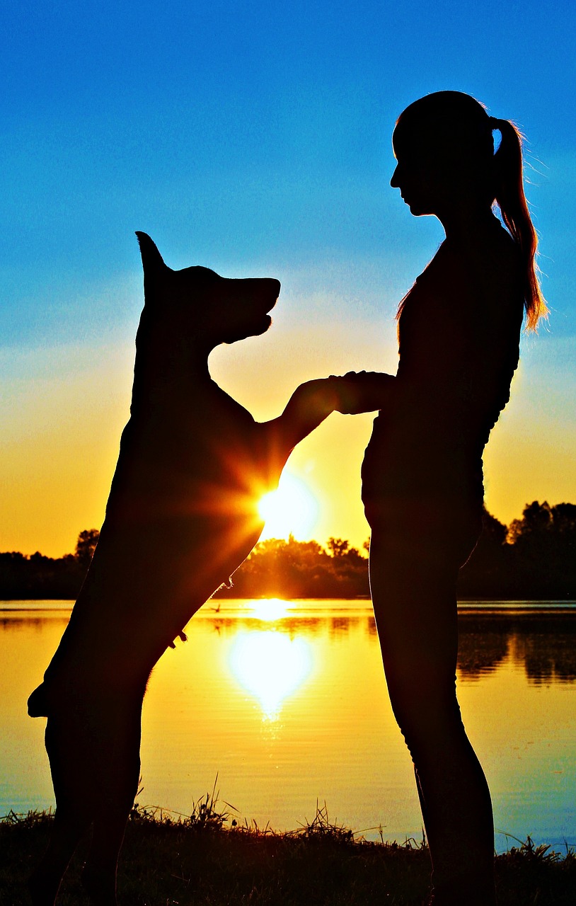 doberman silhouette woman free photo