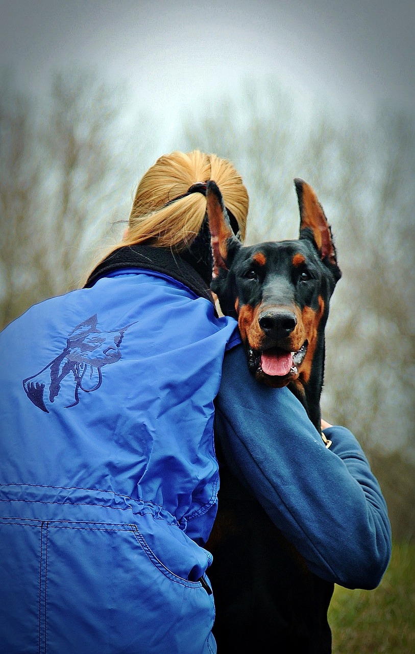 doberman dog hug free photo