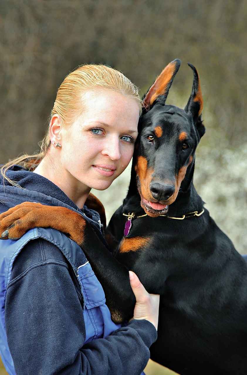 doberman dog hug free photo