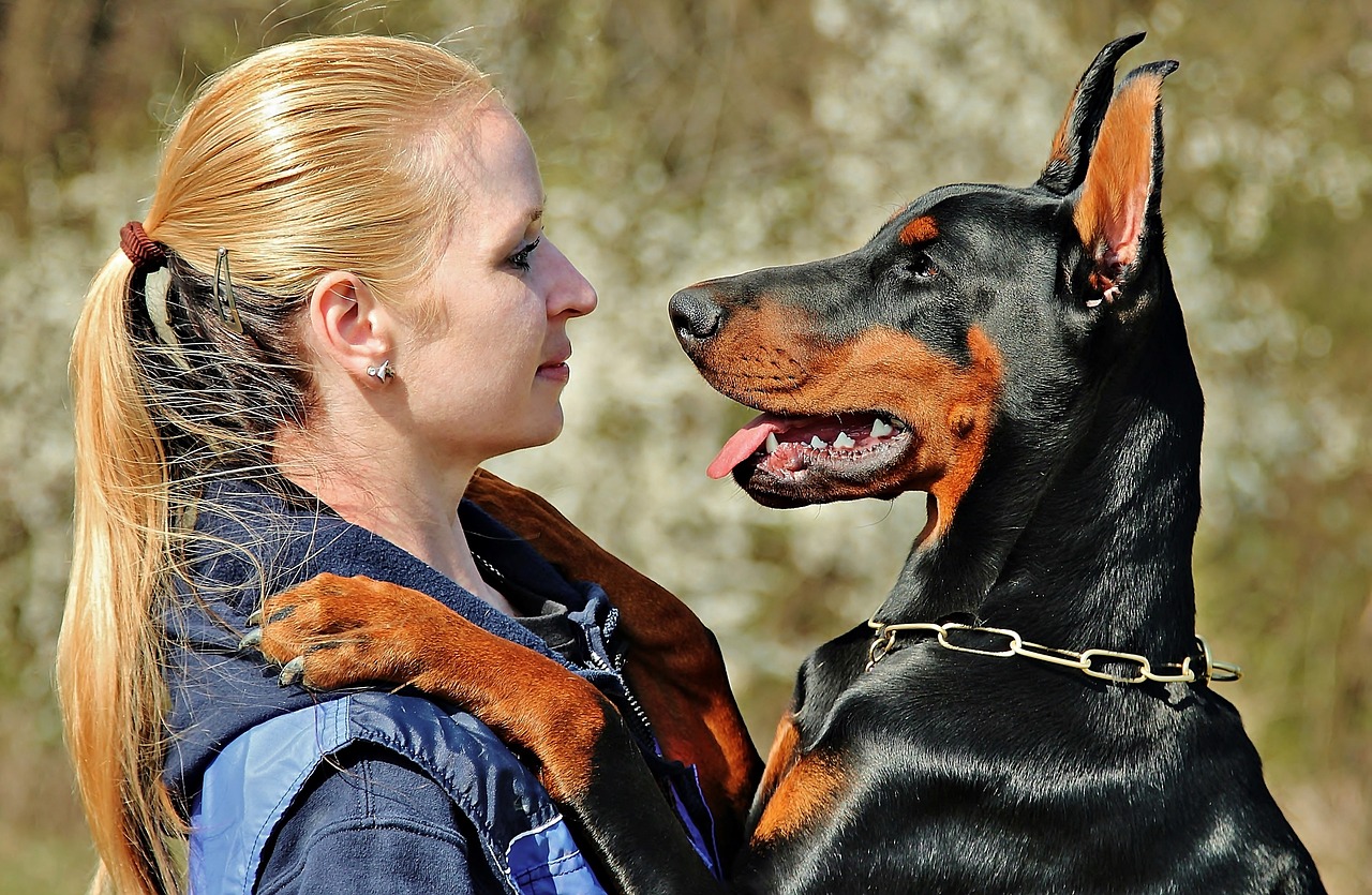 doberman dog hug free photo