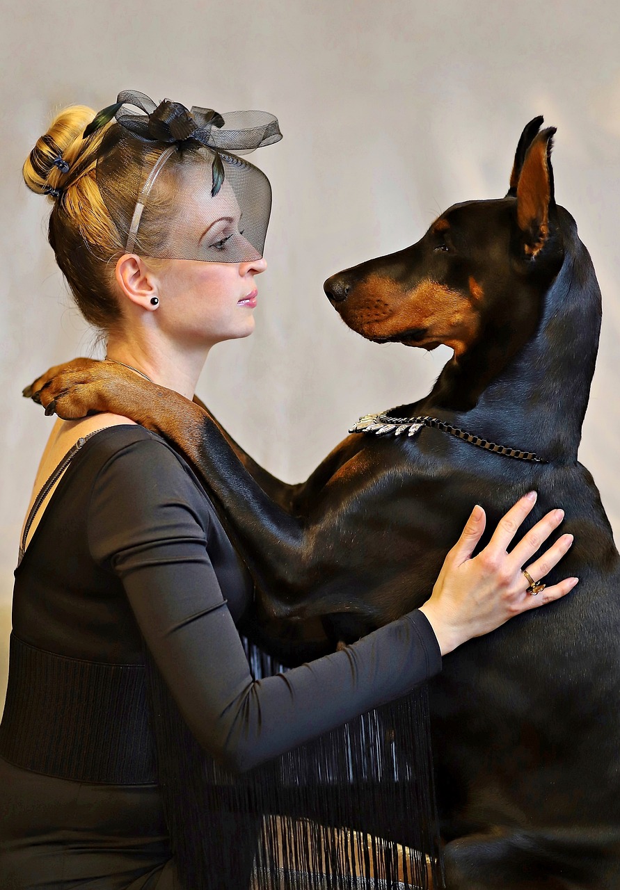 doberman dog blonde woman free photo