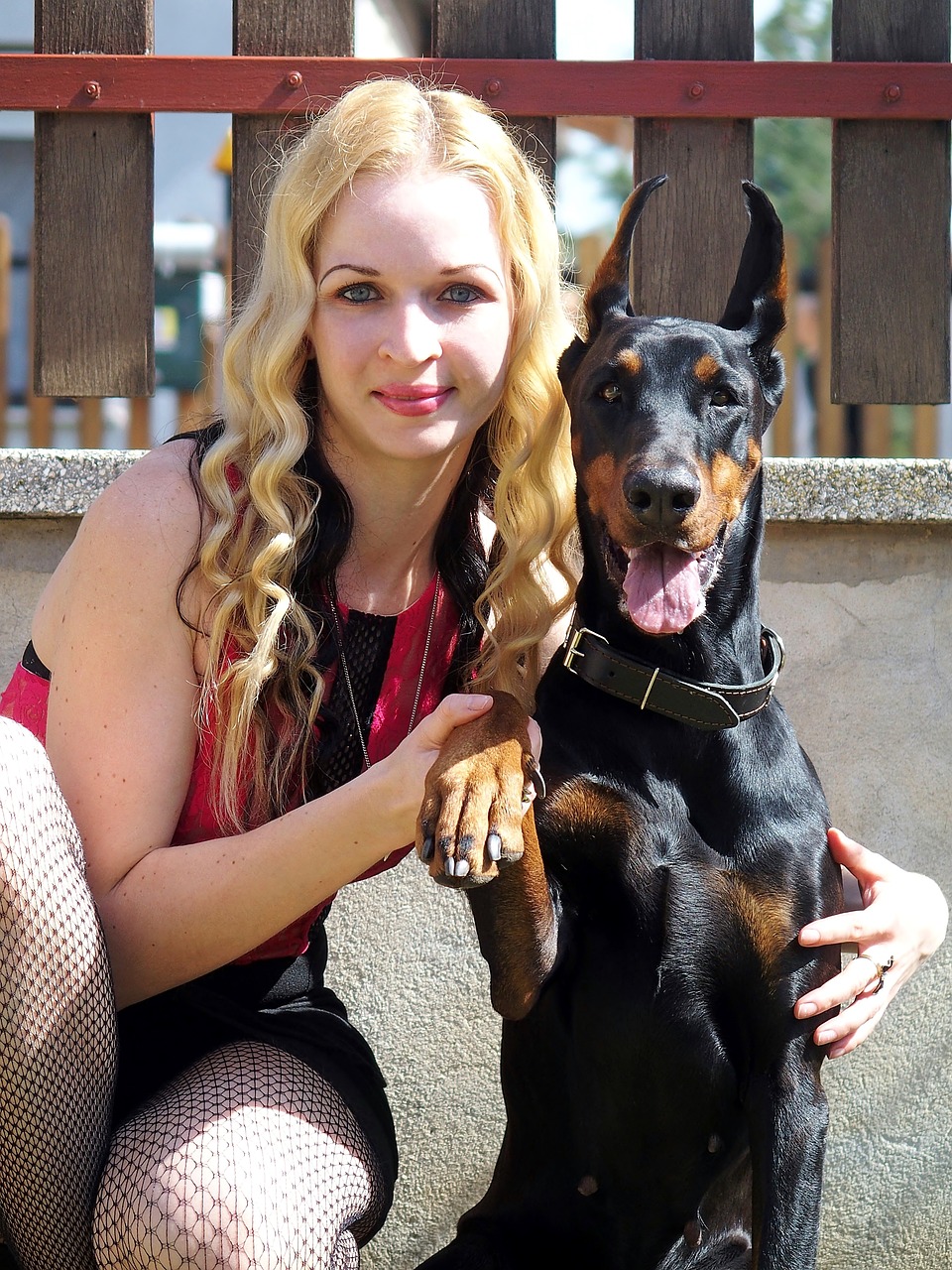 doberman  blonde woman  waving free photo