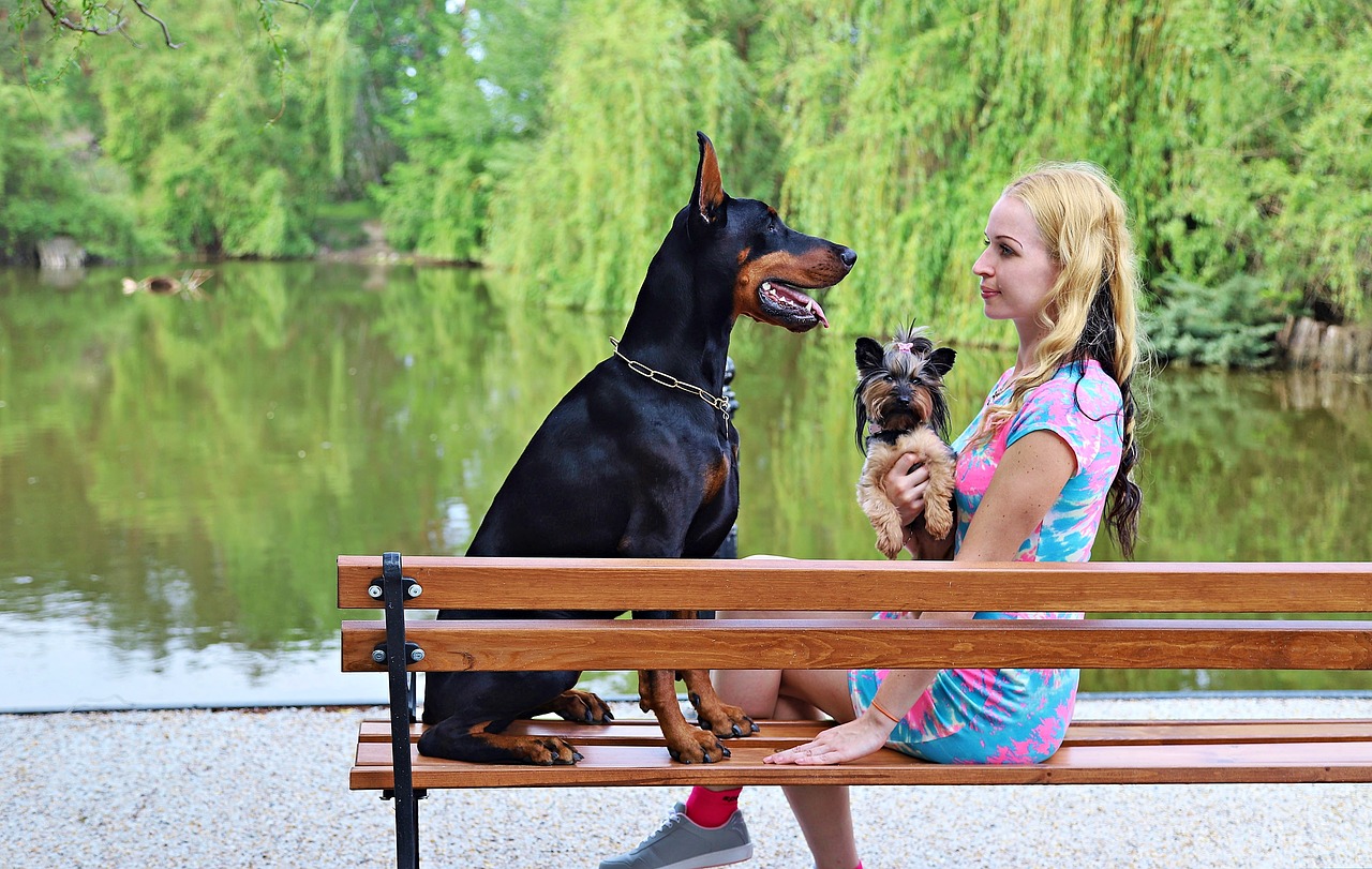 doberman  blonde woman  dogs free photo