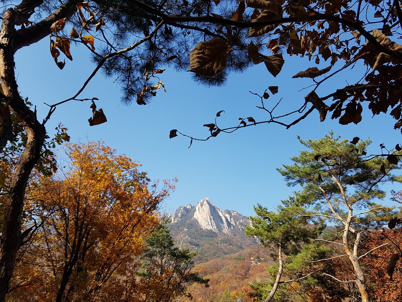 dobong  autumn is also the backyard  dobong-san in the background free photo