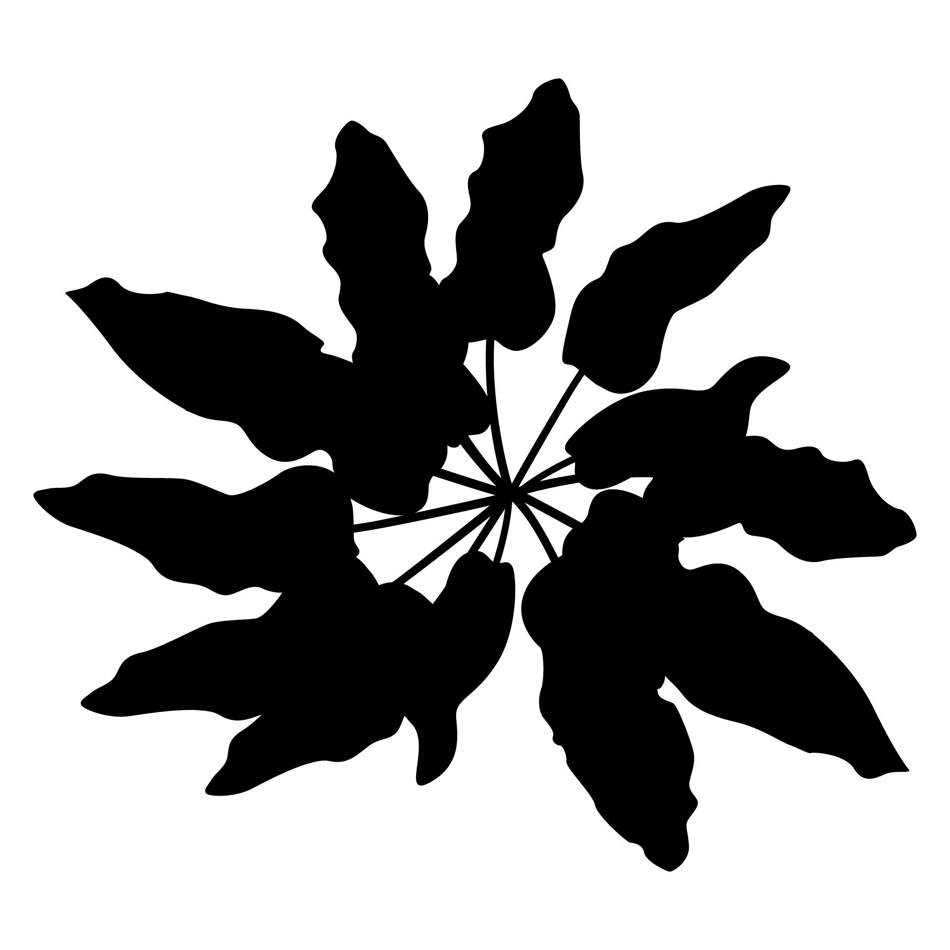 black silhouette doc leaf free photo