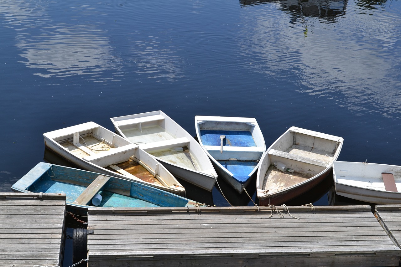 dock boats water free photo