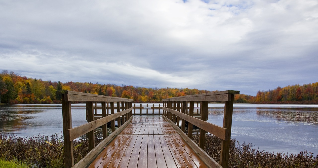 dock pond water free photo