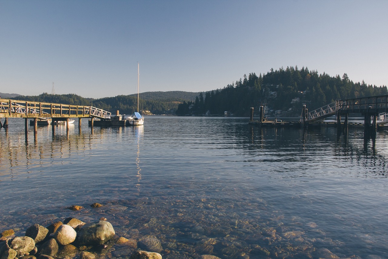 docks boats lake free photo