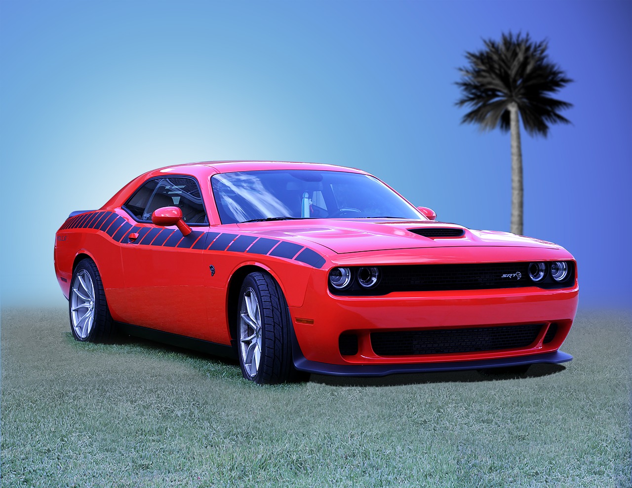 dodge  challenger  american muscle free photo