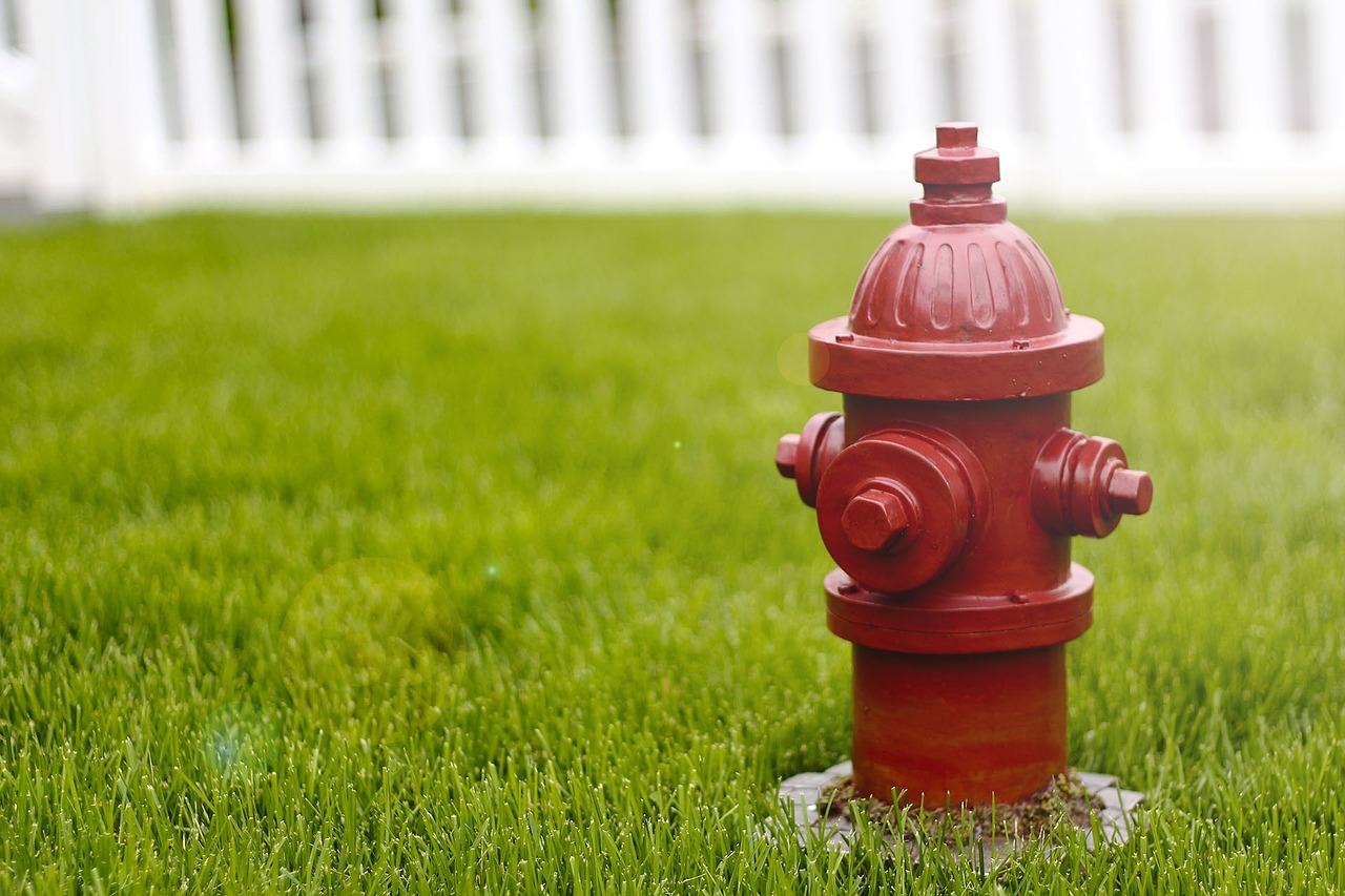 dog fire hydrant red free photo