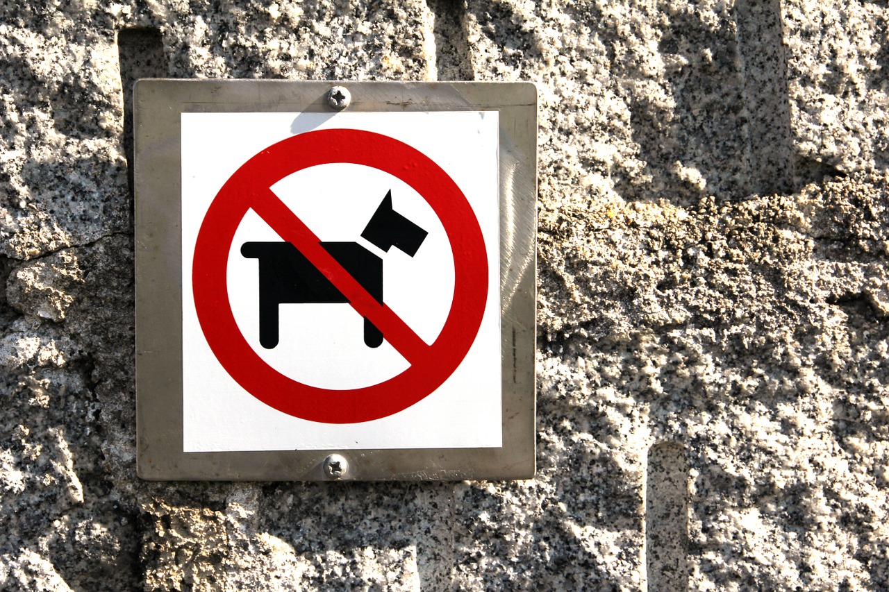dog prohibited ban free photo