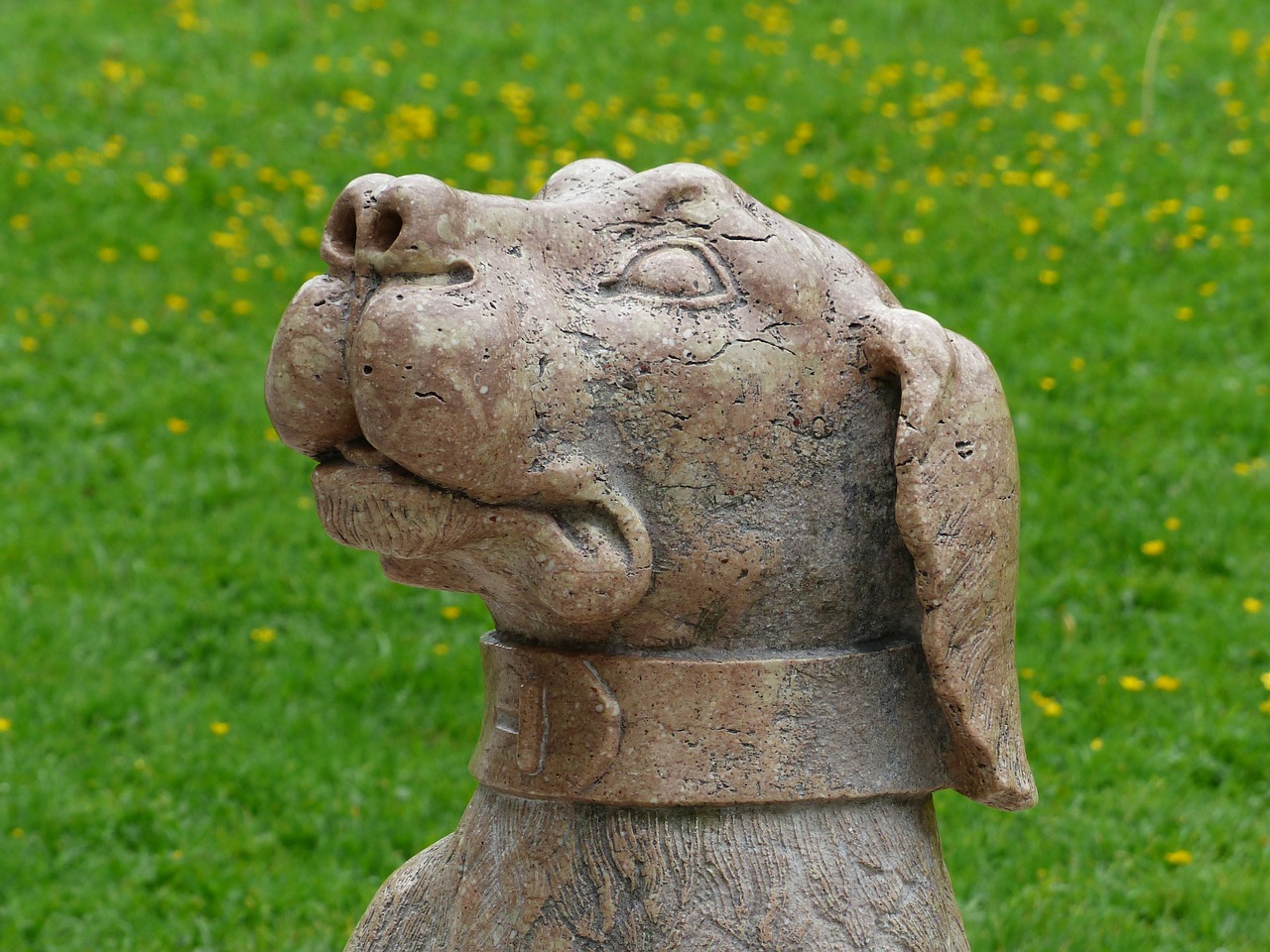 dog statue stone free photo