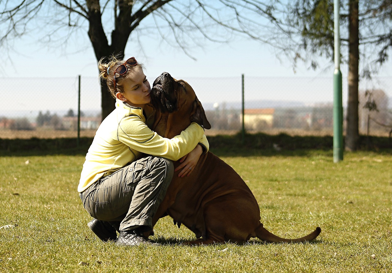 dog girl bordeaux free photo